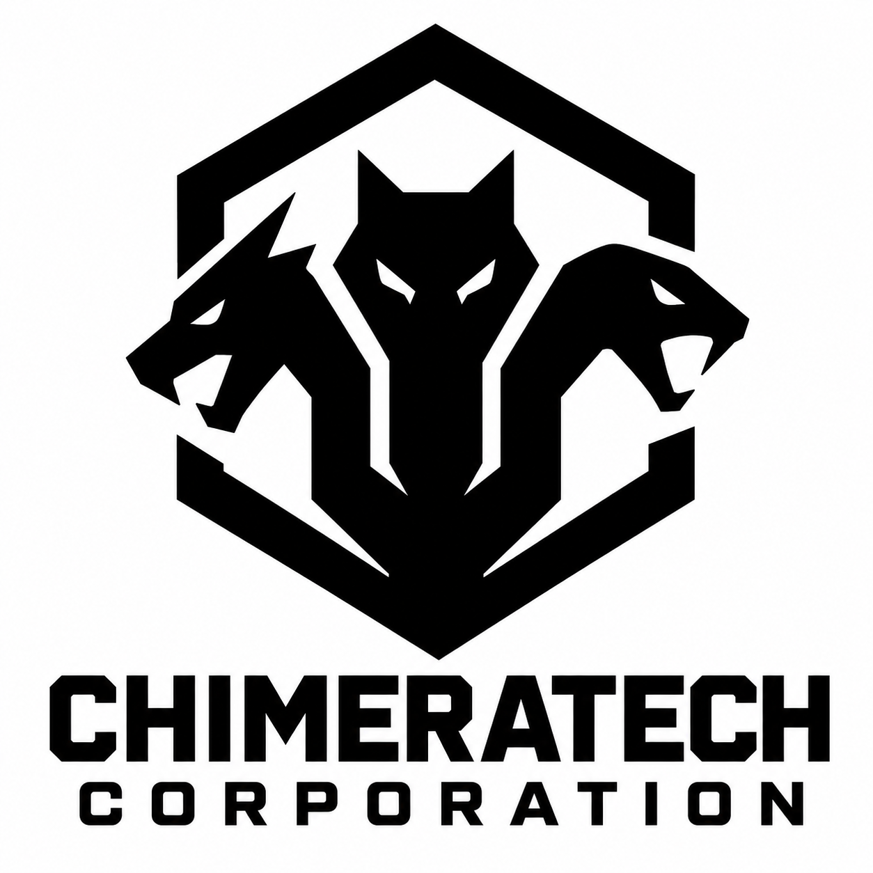 ChimeraTech Corporation ChimeraTech Corporation